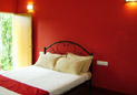 The Spectrum homestay in chikmagalur 